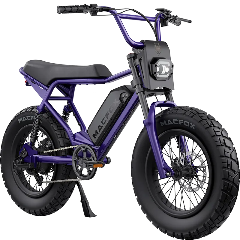 Electric mountain bike with a range of up to 200 miles.